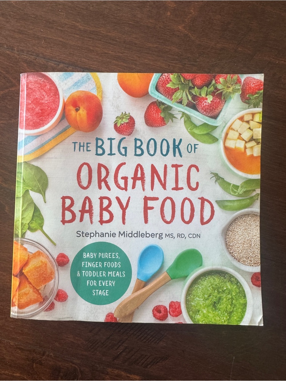 The Big Book of Organic Baby Food by Stephanie Middleberg - Colorful Cover